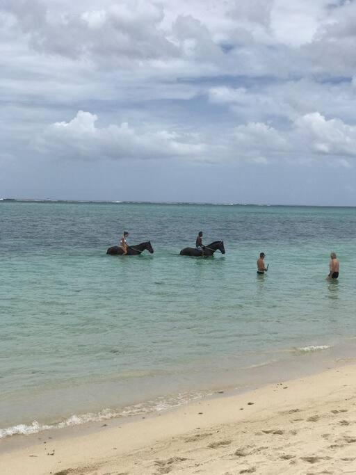 Wozamoya Lägenhet Rivière Noire Exteriör bild
